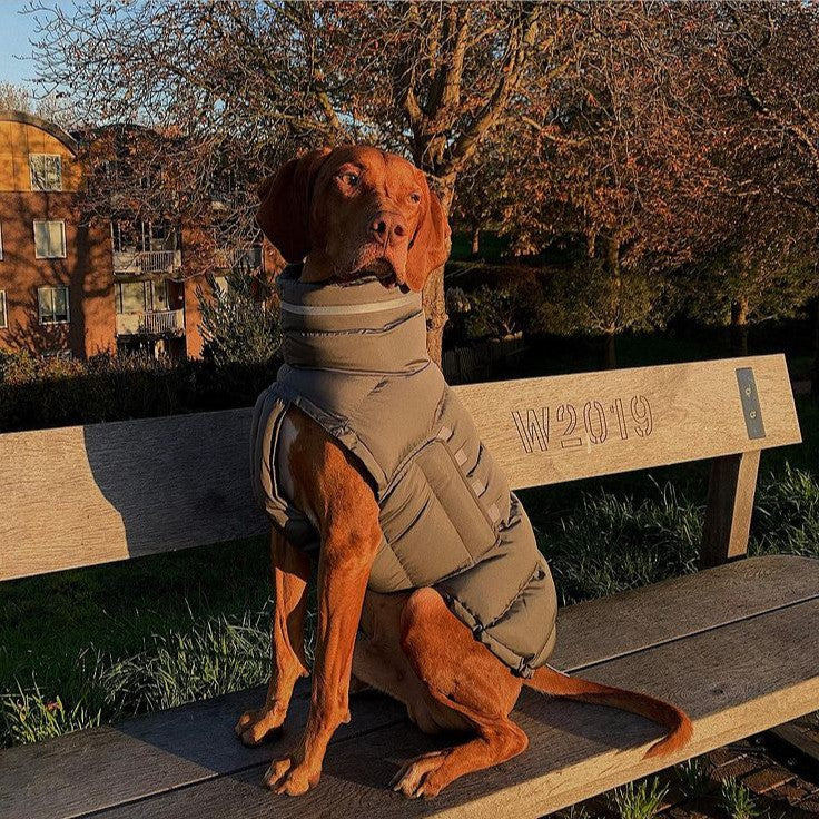 Puffer Jacket : Small, Medium and Large Dogs