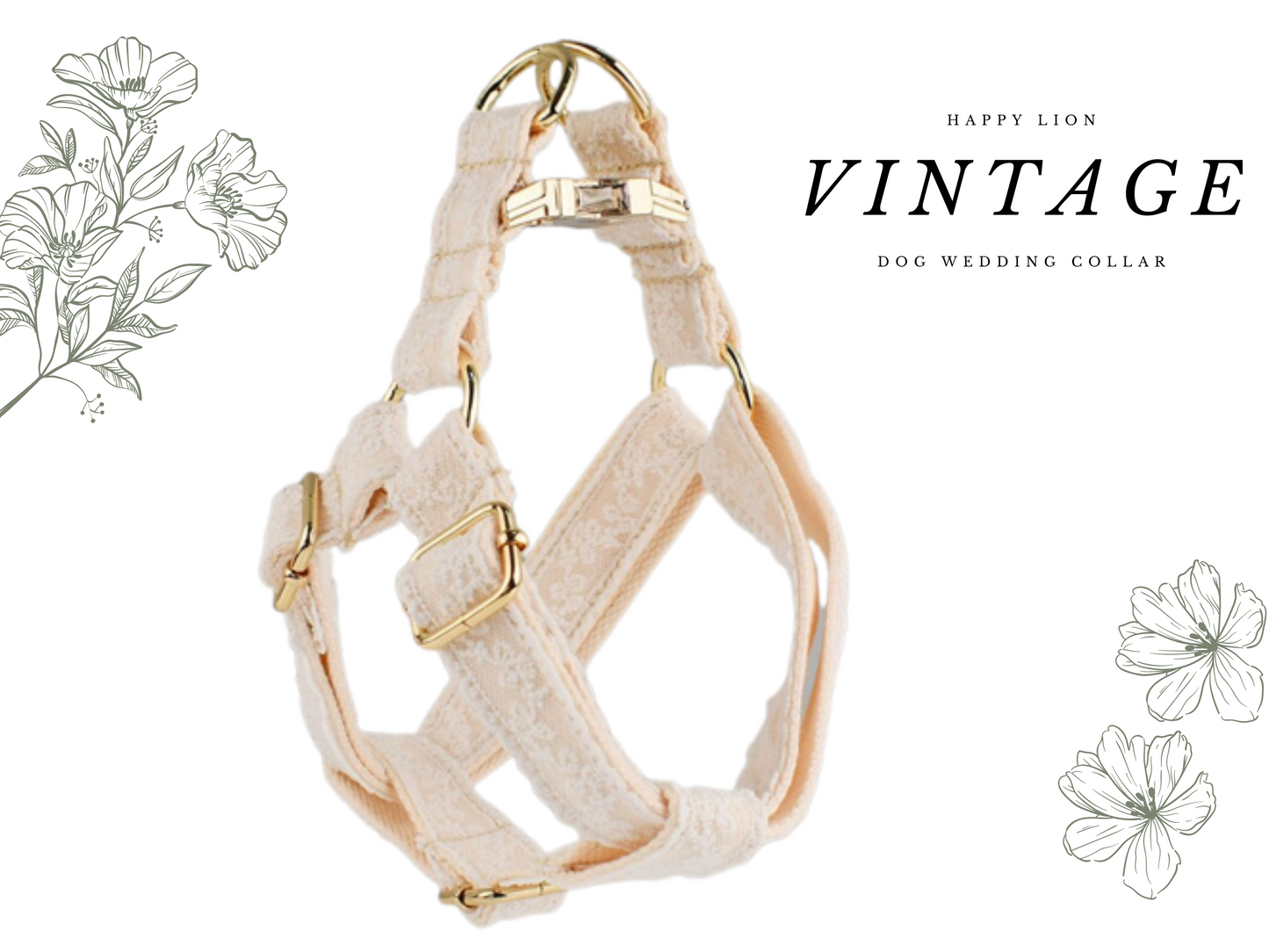 Vintage White Lace Dog Wedding Collar, Harness Leash Set With Gold detail