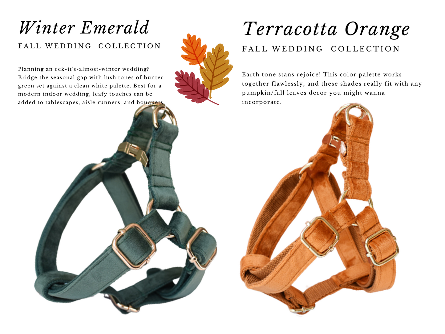 Fall Wedding : Dog Wedding Collars , Leash & Harness  Emerald Wedding dog accessories