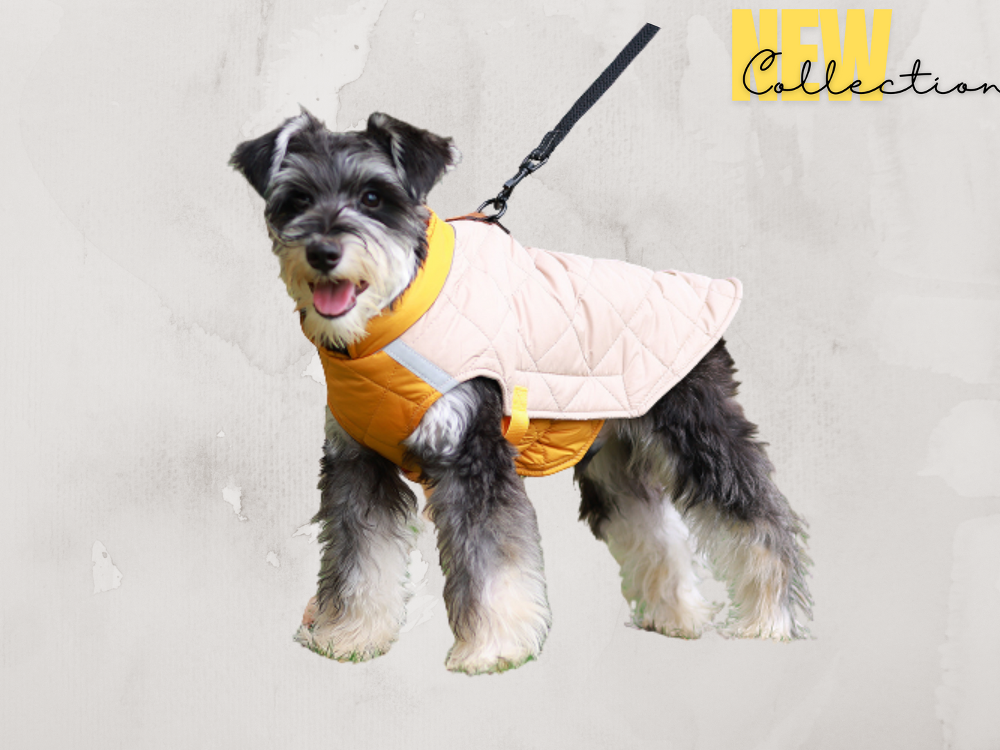 Miniature schnauzer sale raincoat