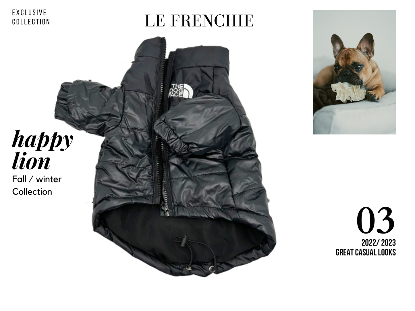 French bulldog hot sale puffer jacket