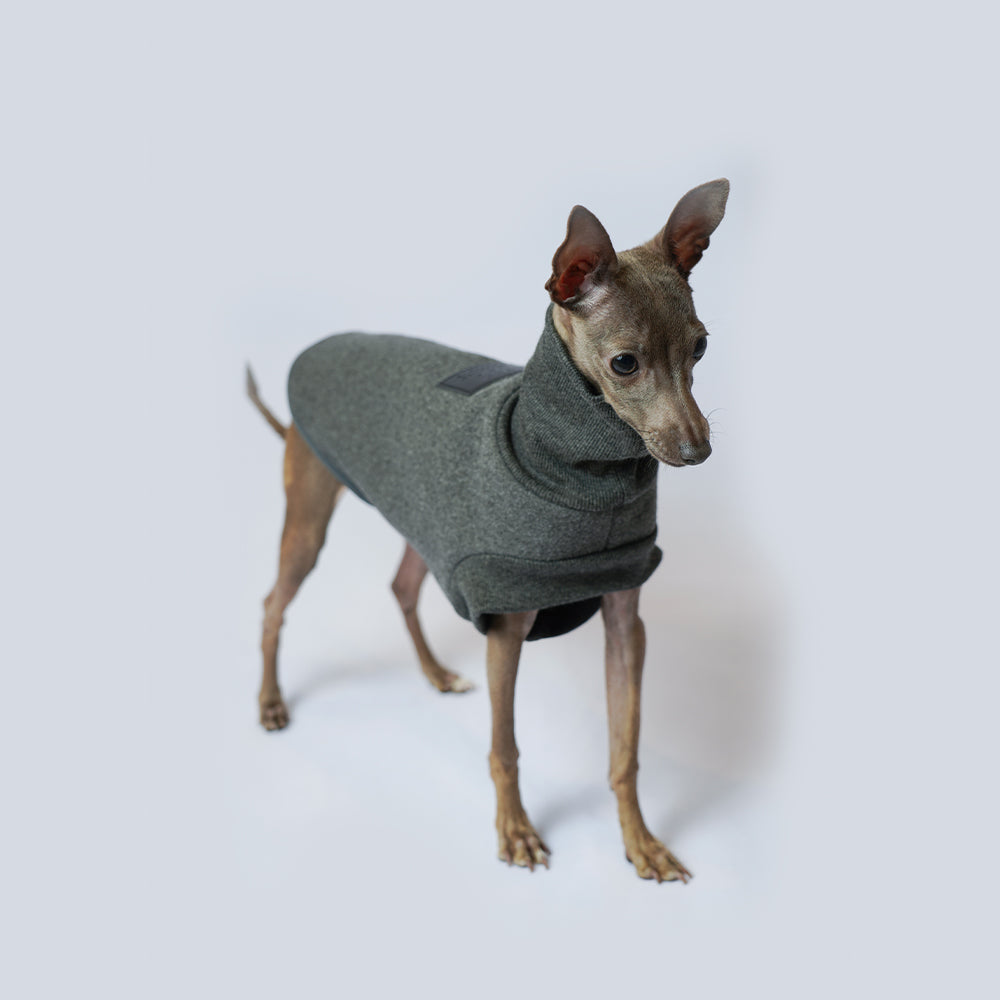 Dog fleece Jumper