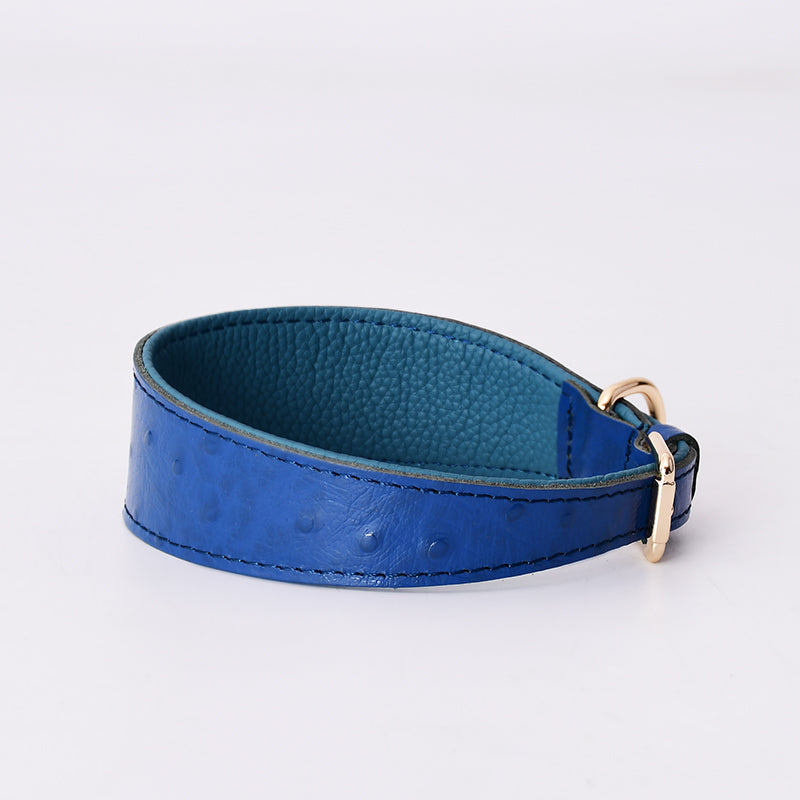 Stylish Leather Dog Collar for all Dog Breeds