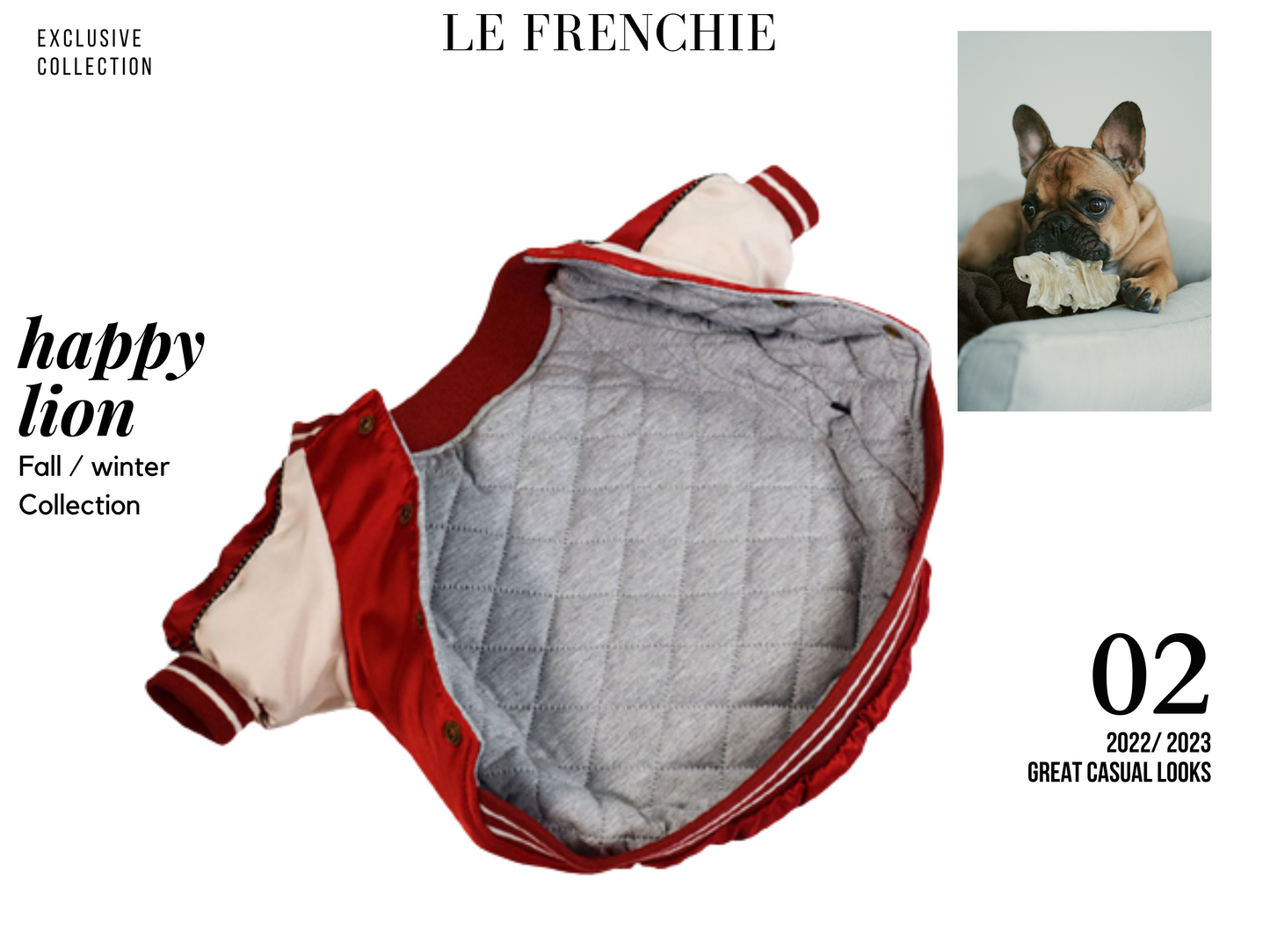 French Bulldog  Varsity Bomber Jacket