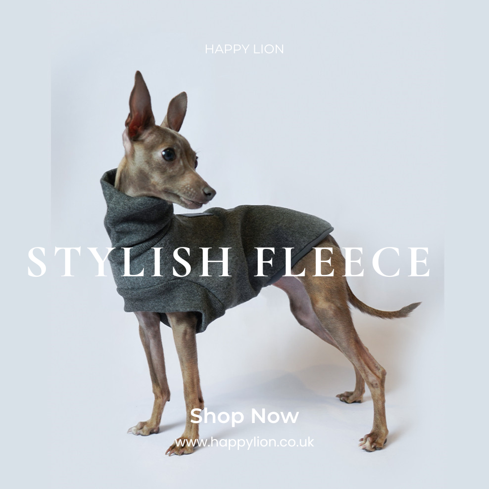 Dog fleece Jumper