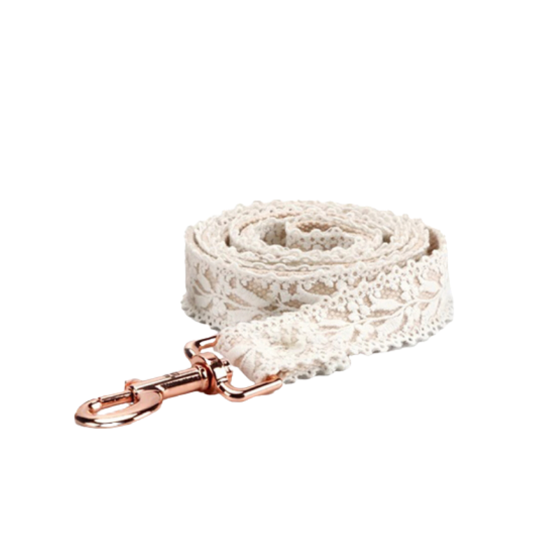 white lace dog lead