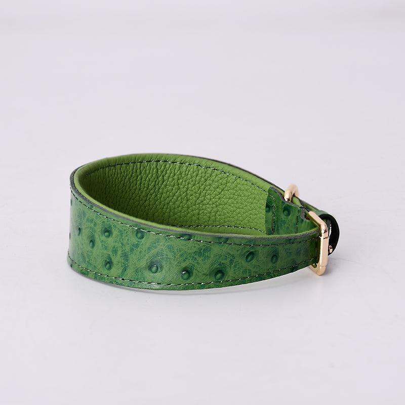 Stylish Leather Dog Collar for all Dog Breeds