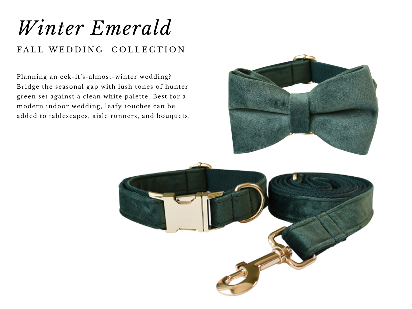 Fall Wedding : Dog Wedding Collars , Leash & Harness  Emerald Wedding dog accessories