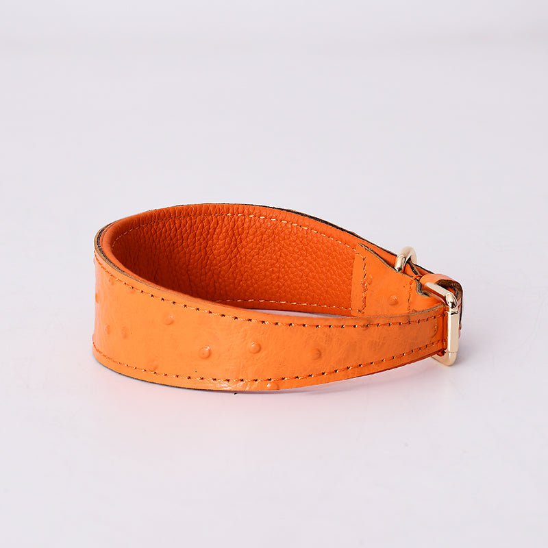 Stylish Leather Dog Collar for all Dog Breeds