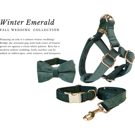 Fall Wedding : Dog Wedding Collars , Leash & Harness  Emerald Wedding dog accessories