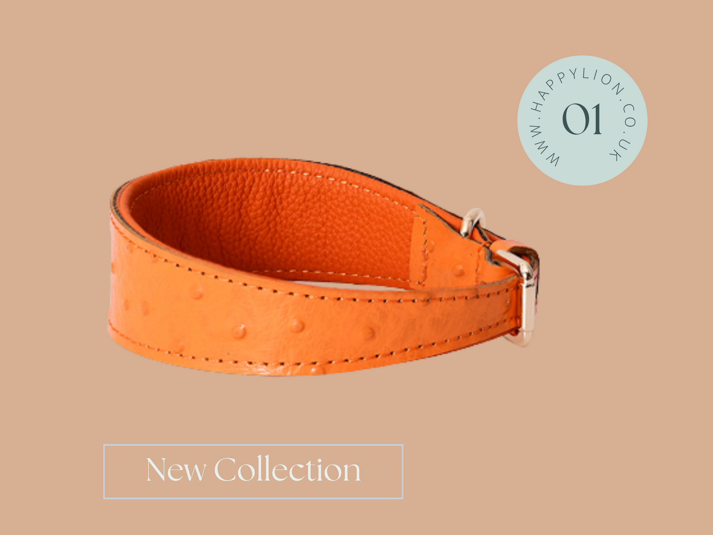 Stylish Leather Dog Collar for all Dog Breeds