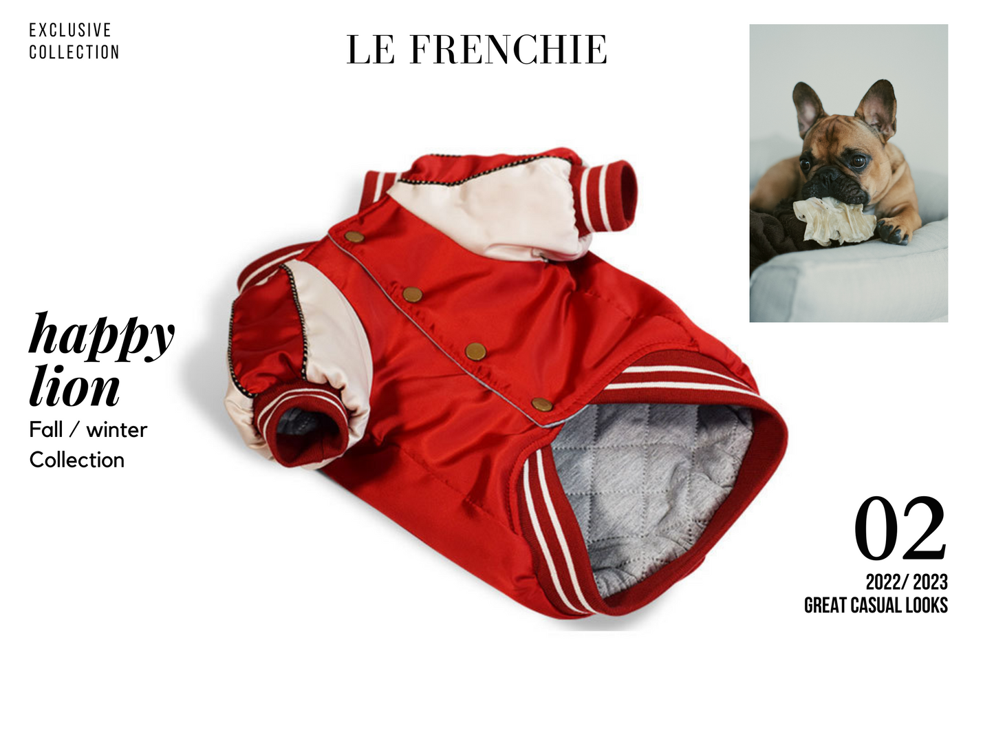 French Bulldog  Varsity Bomber Jacket