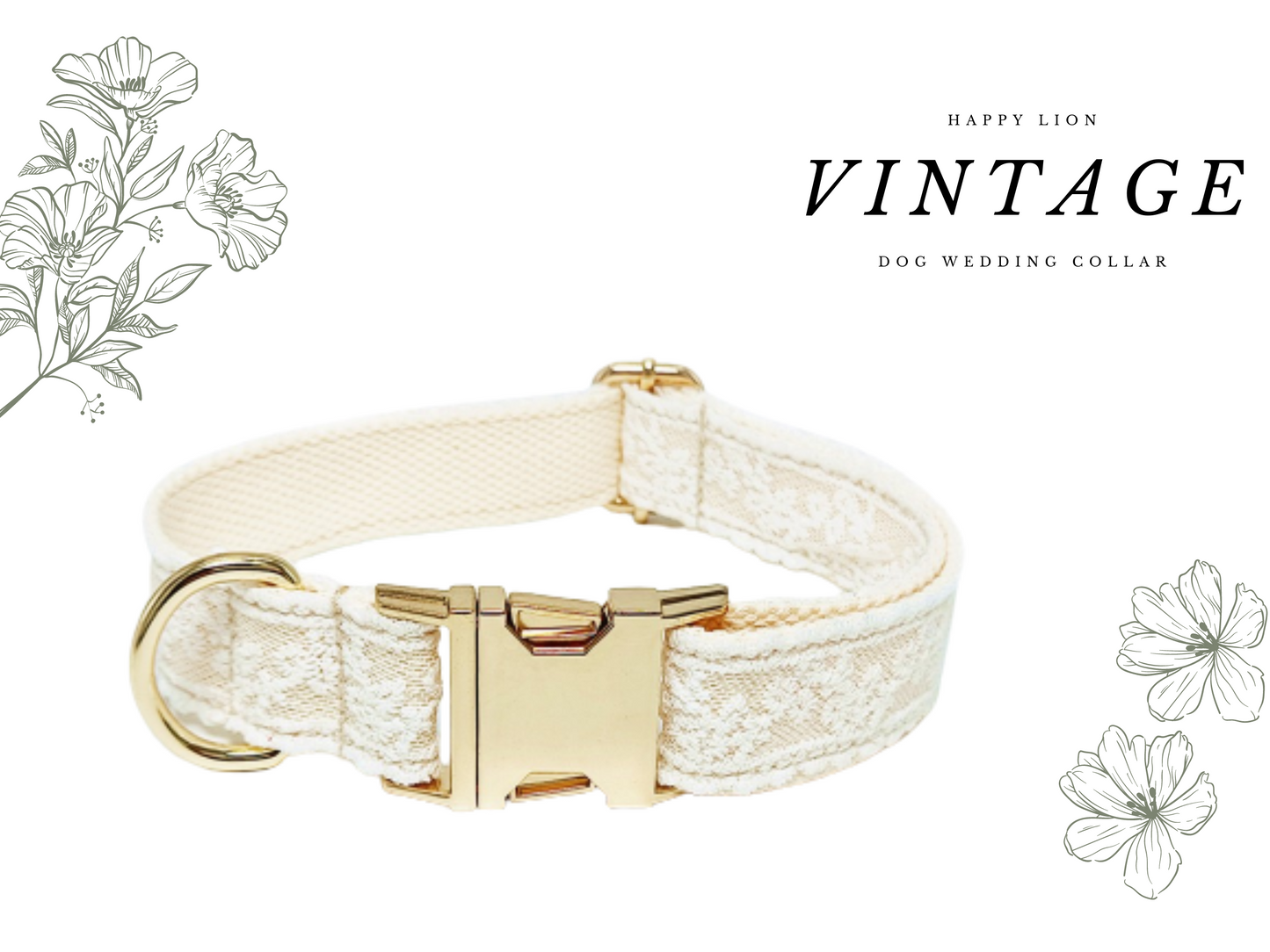 Vintage White Lace Dog Wedding Collar, Harness Leash Set With Gold detail