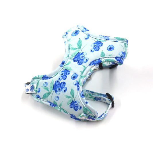 Dog Harness , Collar and Leash Set  for Small and Medium Dogs : Blueberry Walkies