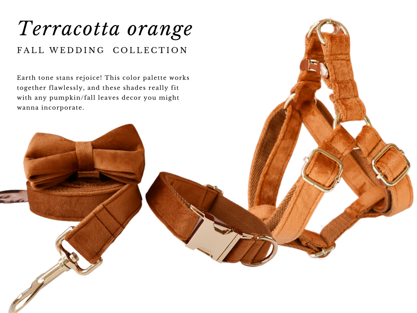 Fall Wedding : Dog Wedding Collars , Leash & Harness  Emerald Wedding dog accessories