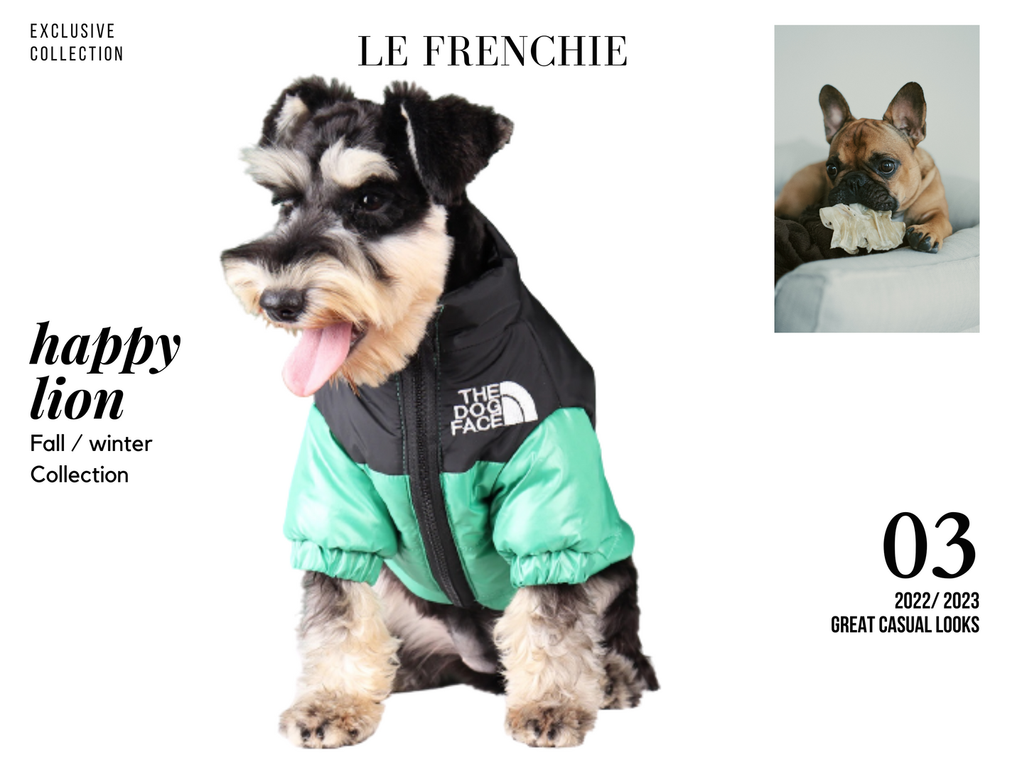 French Bulldog Puffer Jacket