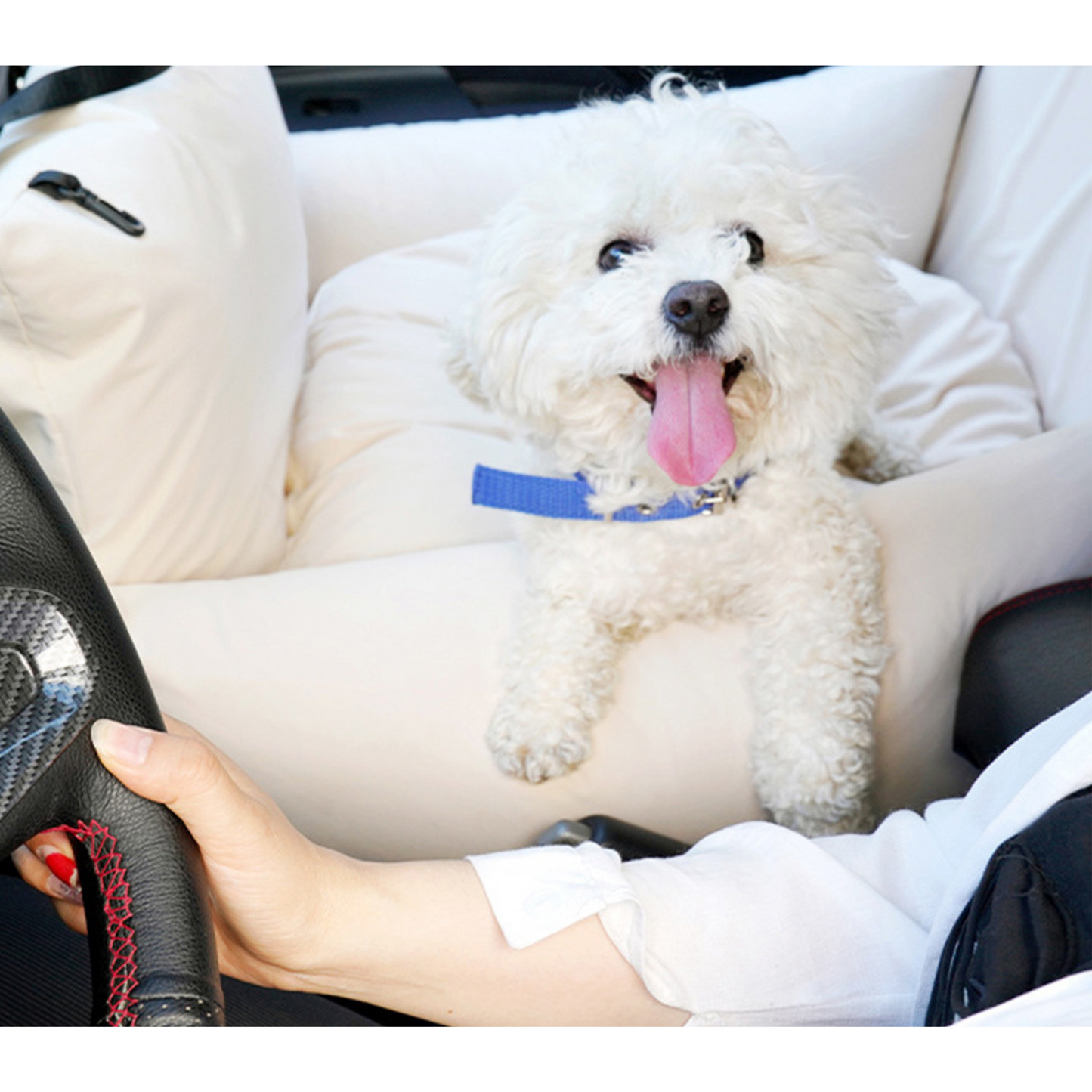 Multi-functional, Safe, Stylish Dog Car Seat and Bed