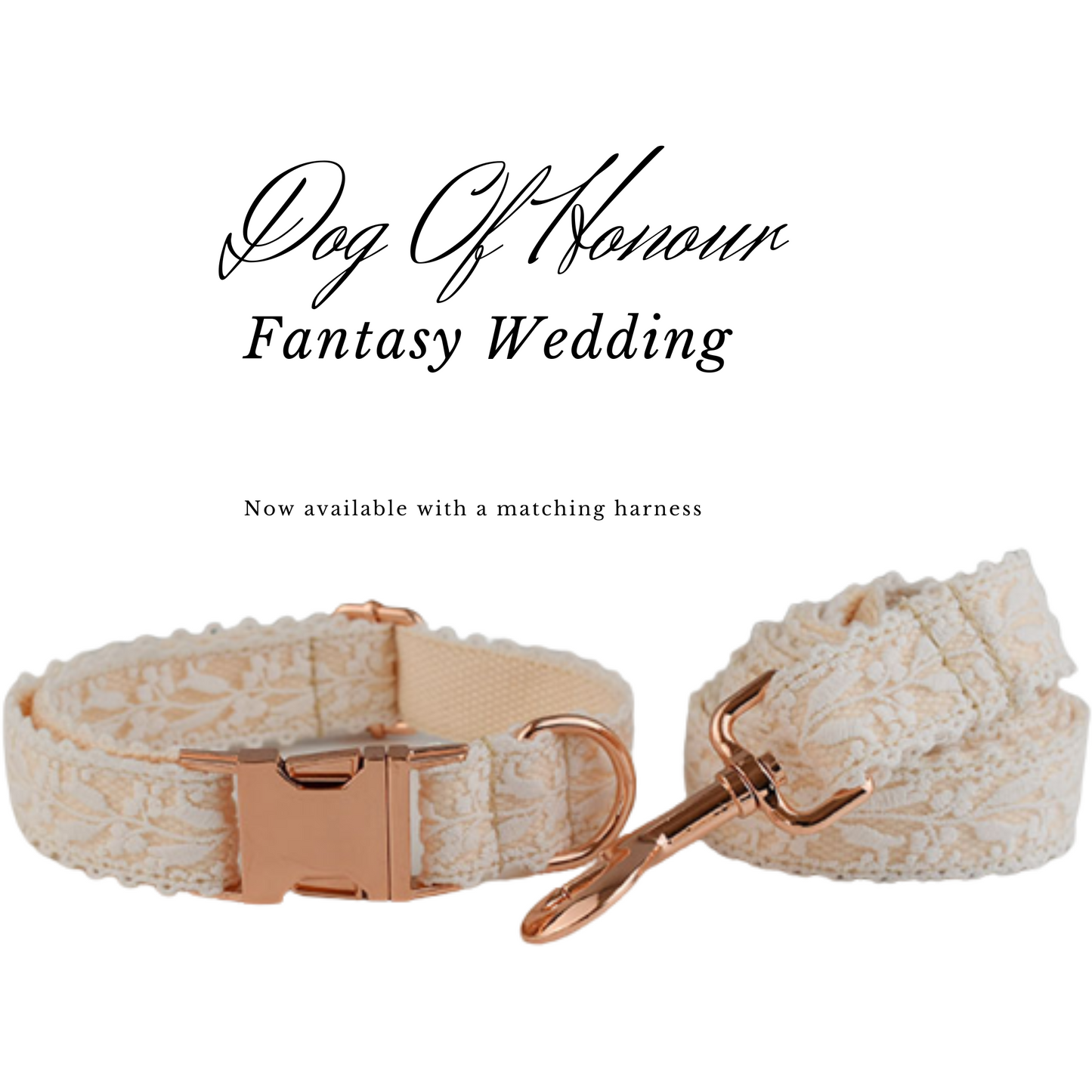 White Lace Dog Wedding Collar , Lead & Harness | Fairytale Wedding