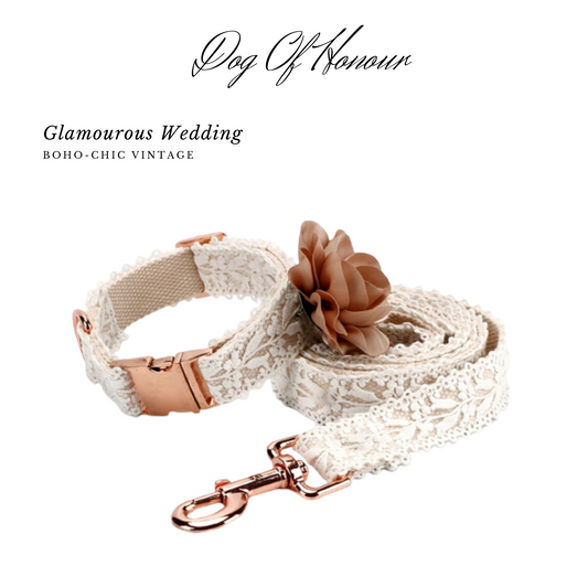 Dog Wedding Collar and Leash UK