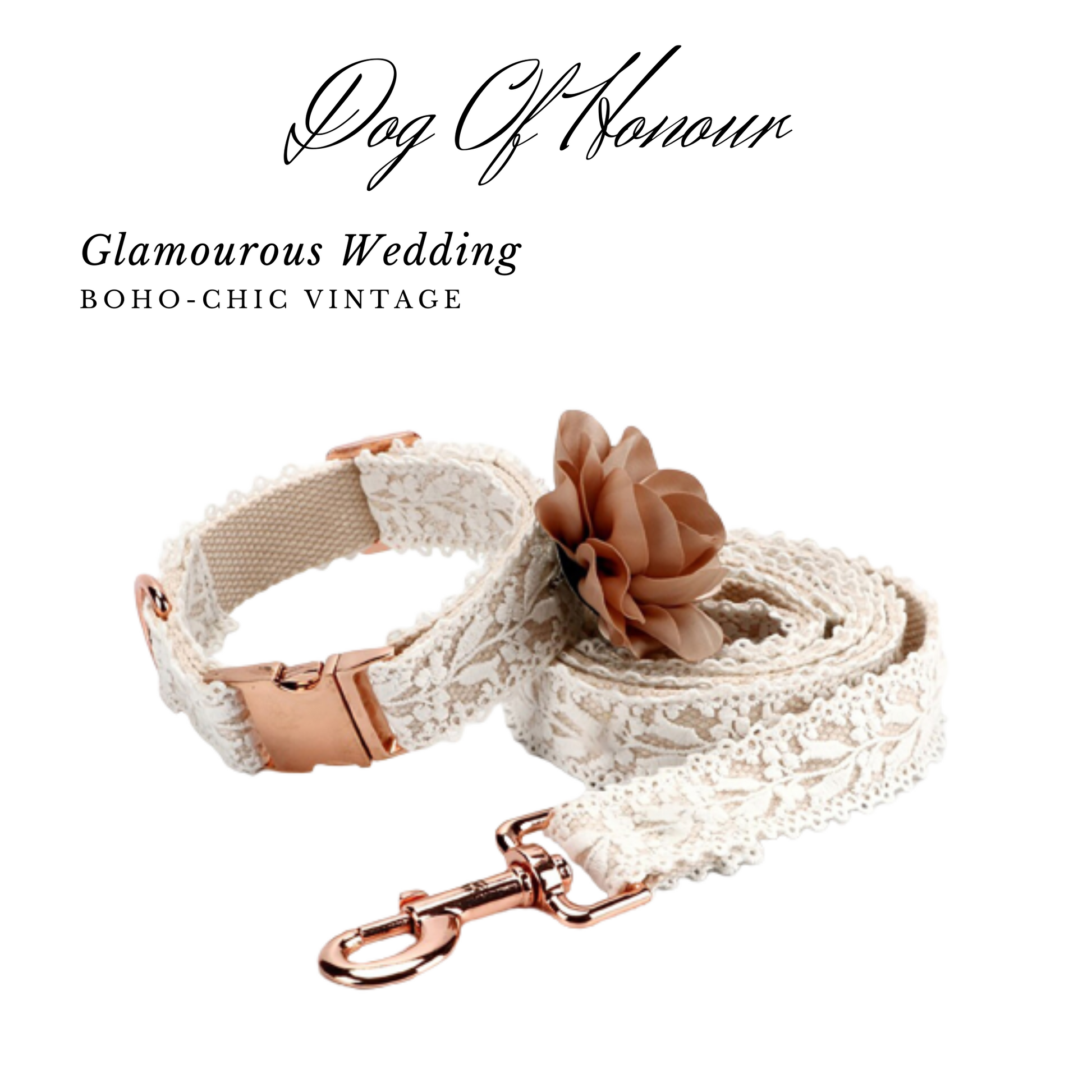 White lace Dog Wedding Collar and Leash Glamorous Wedding