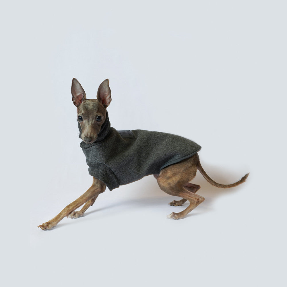 Dog fleece Jumper