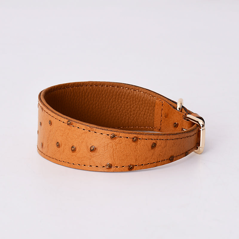 Stylish Leather Dog Collar for all Dog Breeds