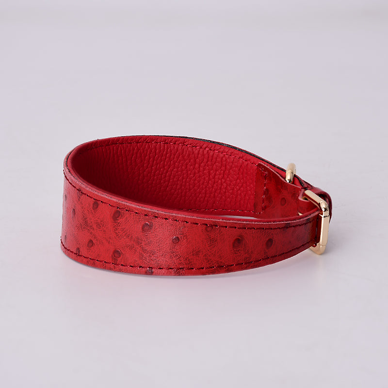 Stylish Leather Dog Collar for all Dog Breeds